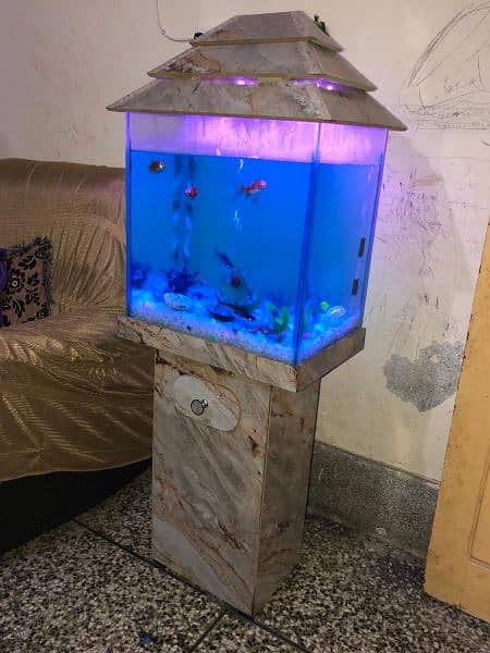 10 fishes with aquarium for sale 1