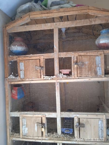 bird cage 6