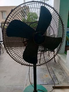 Fan for sale