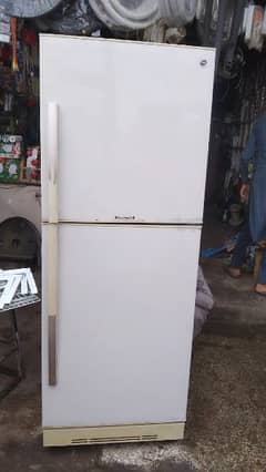 PEL full size fridge