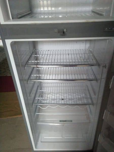 PEL FRIDGE 1