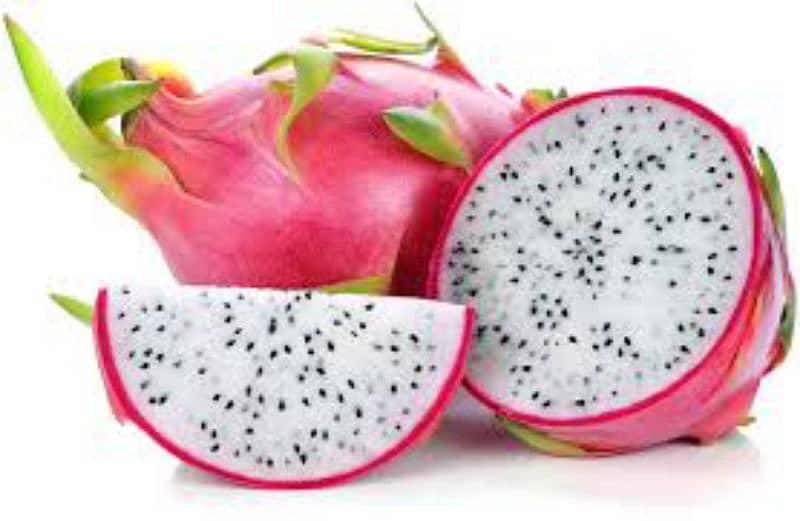 get Plant with Dragon Fruit as well 6