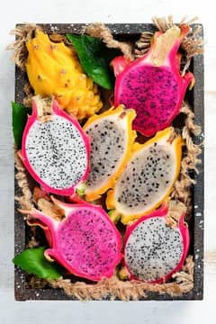 get Plant with Dragon Fruit as well