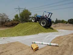 Fresh Silage