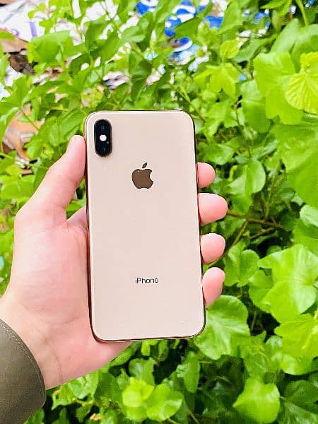 IPHONE XS 10