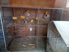 Heavy Cage for sale