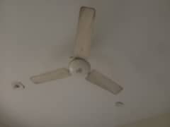 1 celling Fan and 1 bracket Fan