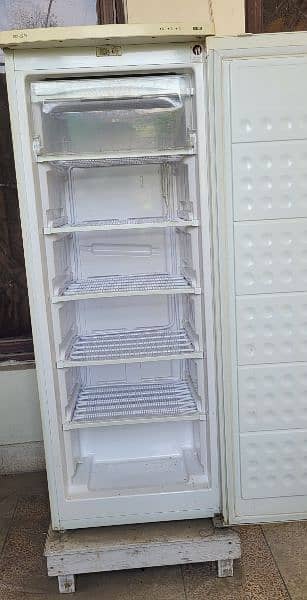 Vertical Freezer Kenwood 1