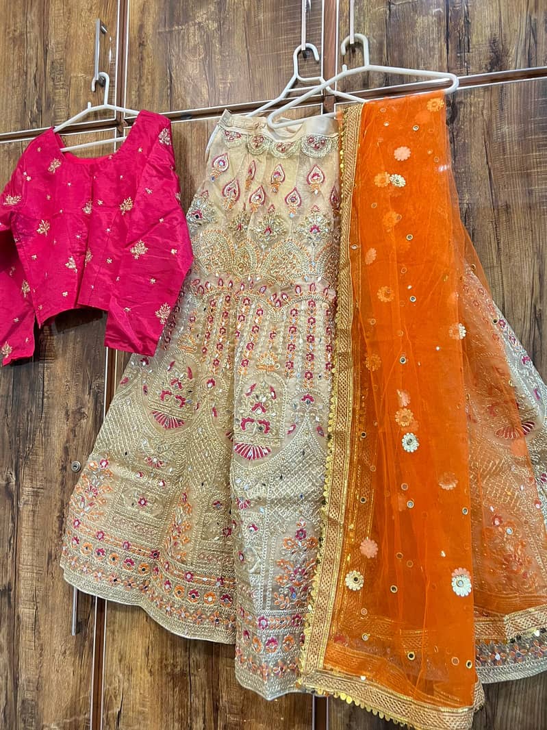 Bridal Preloved Wedding Formal Dress|Gharara|Lehnga|Maxi 5