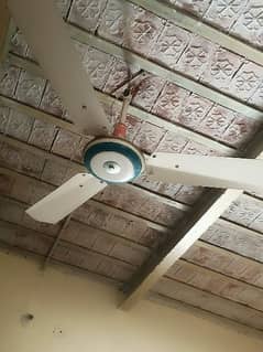 Ceiling fan