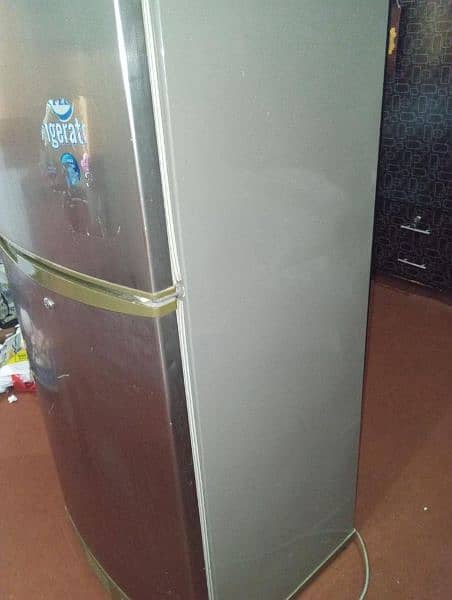 PEL REFRIGERATOR 1