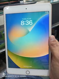 Ipad Mini 5