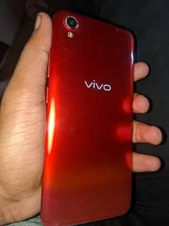 Vivo