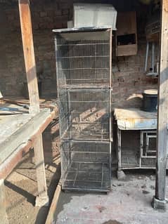 birds and hen cage 034384714…66