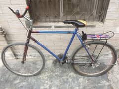 Phoenix Bicycle in good condition