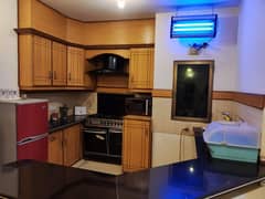 Fully furnished Flat For Rent 0