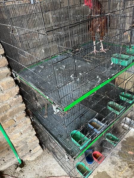 Zarara cage2 feet  by 3 feet03405668354 3