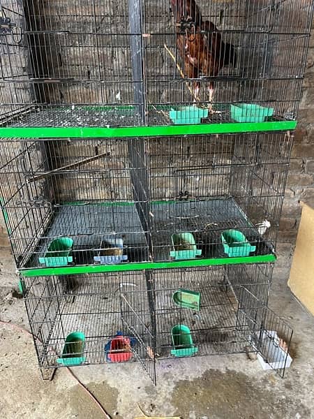 Zarara cage2 feet  by 3 feet03405668354 4