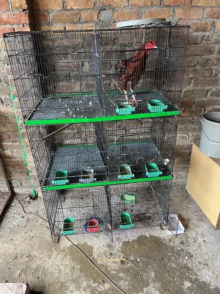 Zarara cage2 feet  by 3 feet03405668354 6