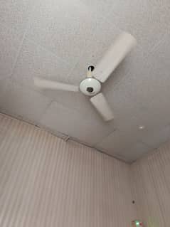 ceiling fan for sale no fault,no repairs 03132824000