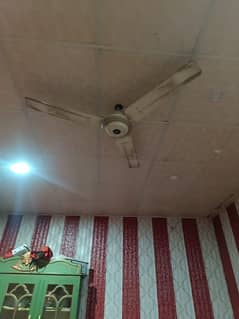 super condition ceiling fan no fult 03132824000