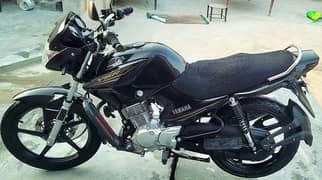 Yamaha YBR 125 2021 7000kms use only family used Bike 2022 0