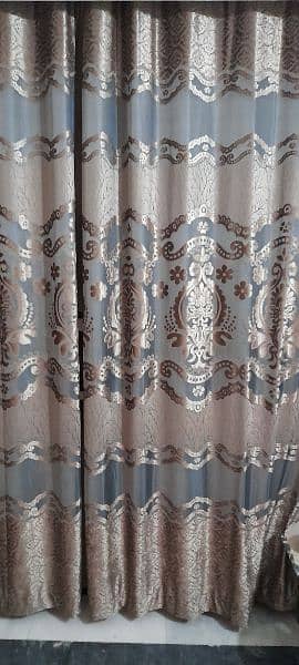 curtains 1