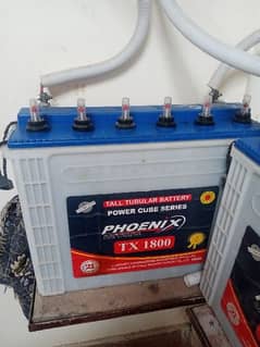 Phoneix TX 1800 Tall Tublor batteries