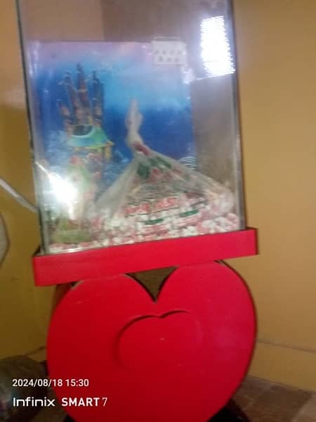 I am selling my aquarium 0