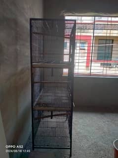 Parrot Cage