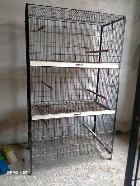 Parrot Cage 1