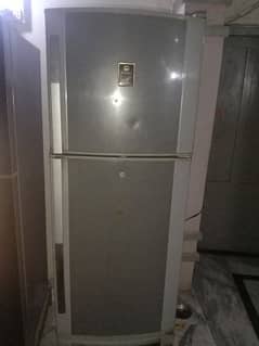 dawlance fridge