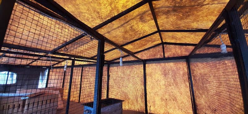 hens cages / bird cage / pinjra / cages for sale / cage 5