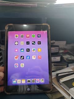 ipad mini 5 0