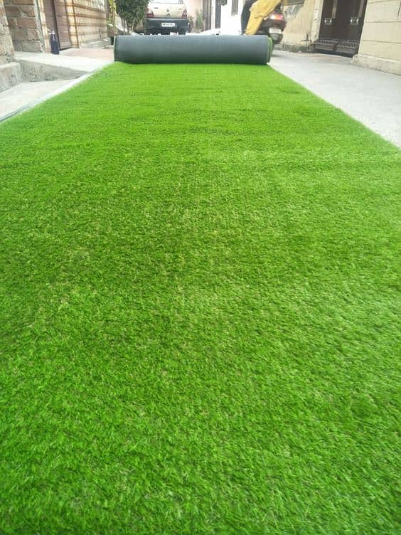 Artificial Grass / Astro truf / Grass /Roof grass / Grass Carpet 2