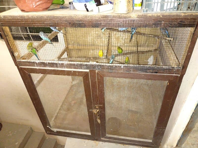 Budgies  cage for sale 1