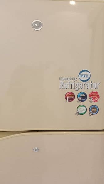 Pel Refrigerator 1