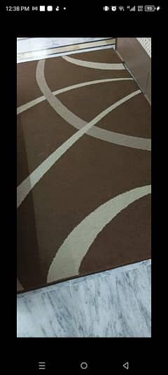 Modern Brown Rug with Skin Stripes | good Condition