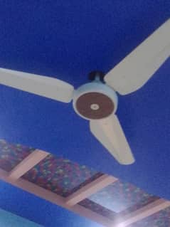 fans in good condition 0