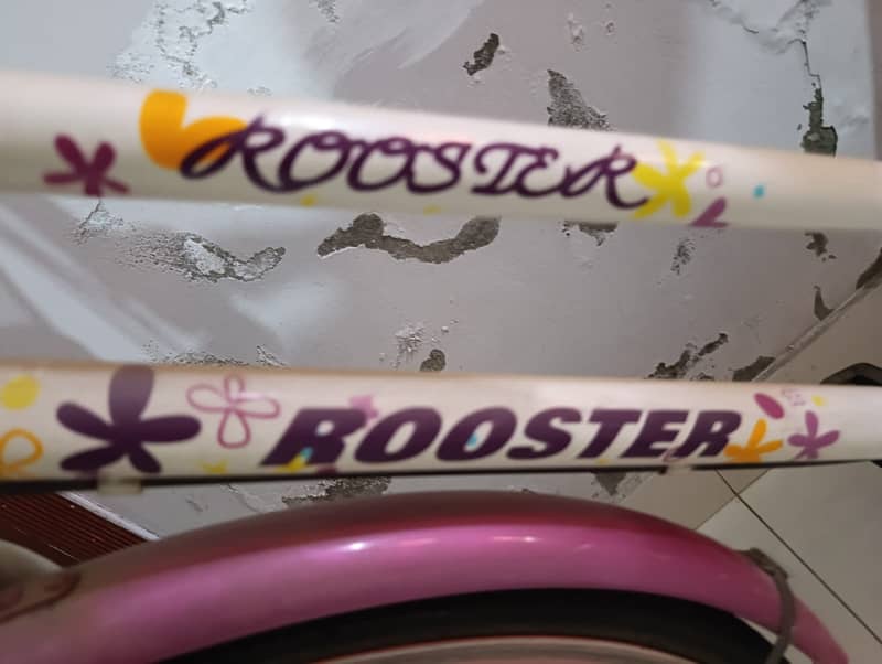 Rooster Bicycle- For ladies / Girls 5