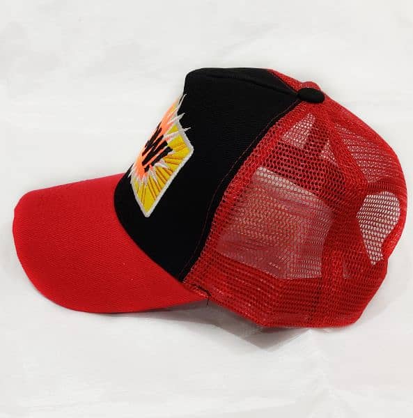 Net cap sports 4