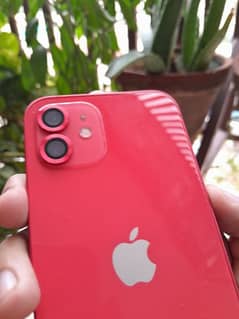 iPhone 12 | red color | 64gb | non pta (jv) | 100 BH