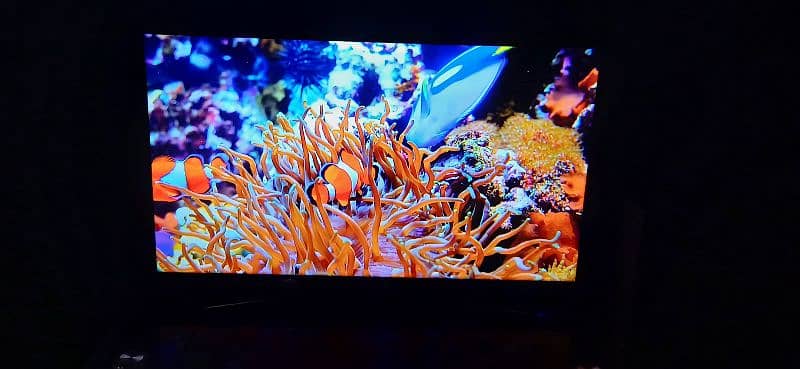 Samsung Led 50 inches 1