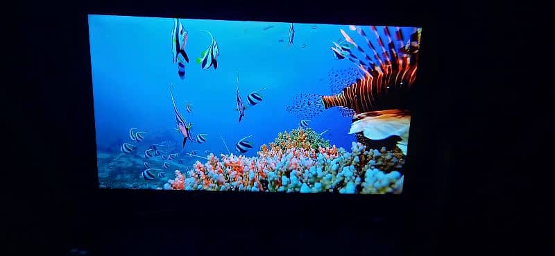 Samsung Led 50 inches 12