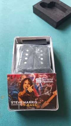 Bass Guitar Seymour Duncan USA