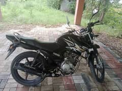 Yamaha YBR - G 2019 model Black colour in good condition for sale