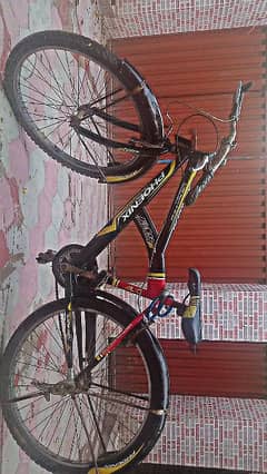 Original PHONIX cycle for sale