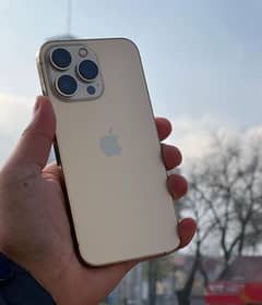 Iphone 12 Pro Max PTA approved