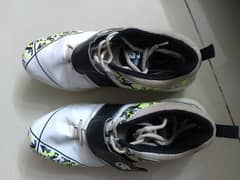 cricket spike shoes