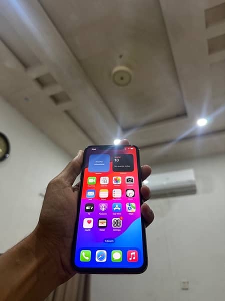 Xs max dual pta 1